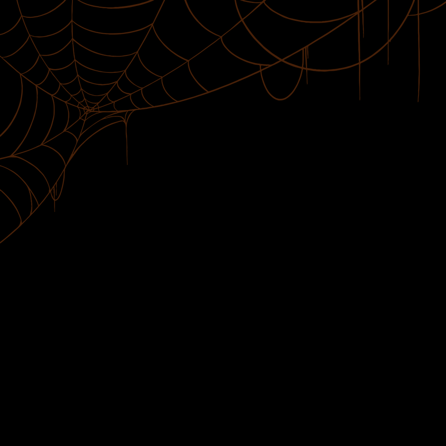Intricate spider web design on a black background, perfect for Halloween or spooky themes.