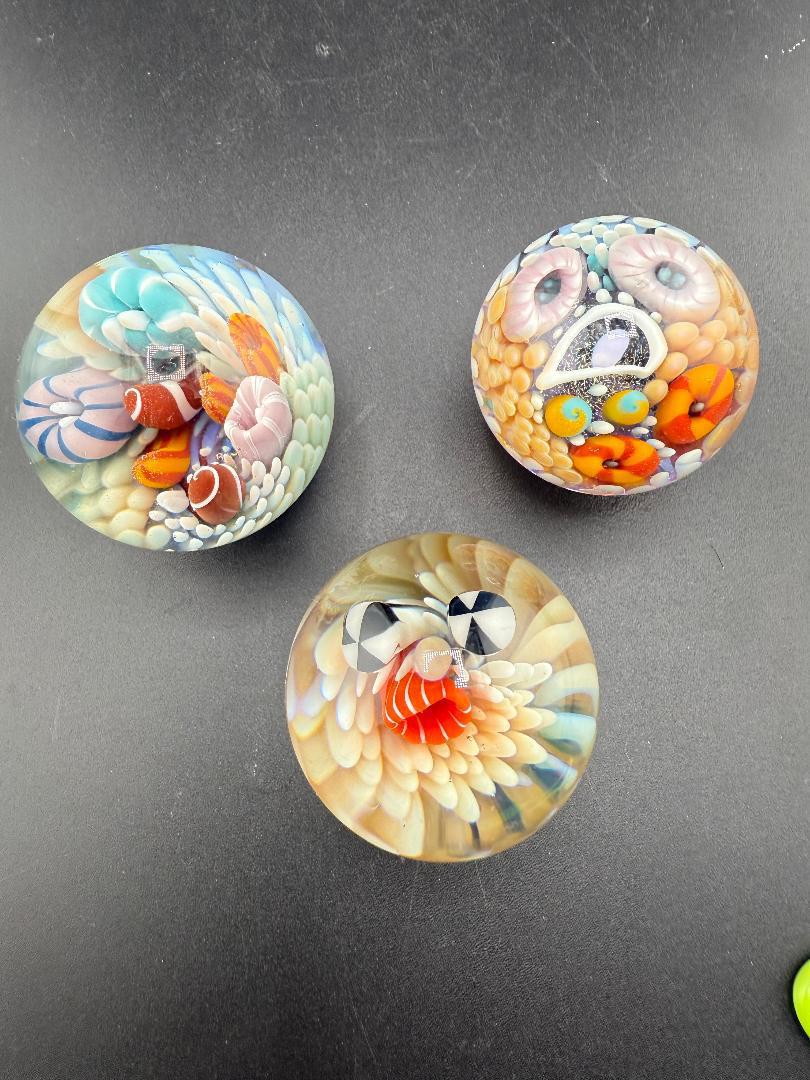 Brando Glass Marble - Sea Life Implosion 1.5"