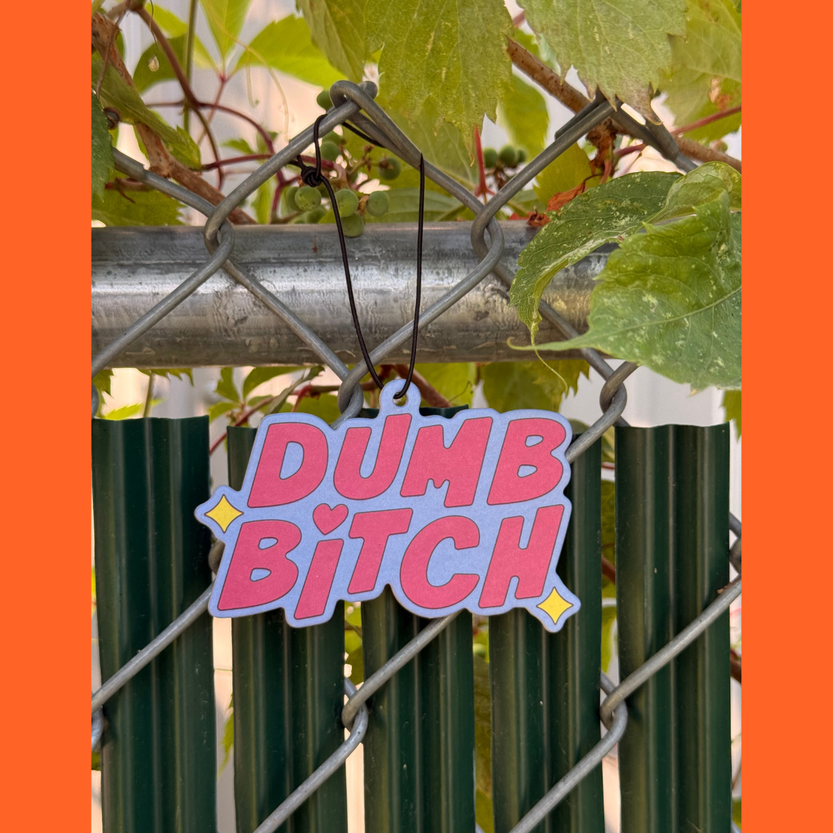 Dumb Bitch coconut air freshener with humor hanging on a fence, showcasing its playful design.
