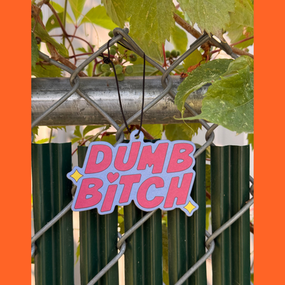 Dumb Bitch coconut air freshener with humor hanging on a fence, showcasing its playful design.
