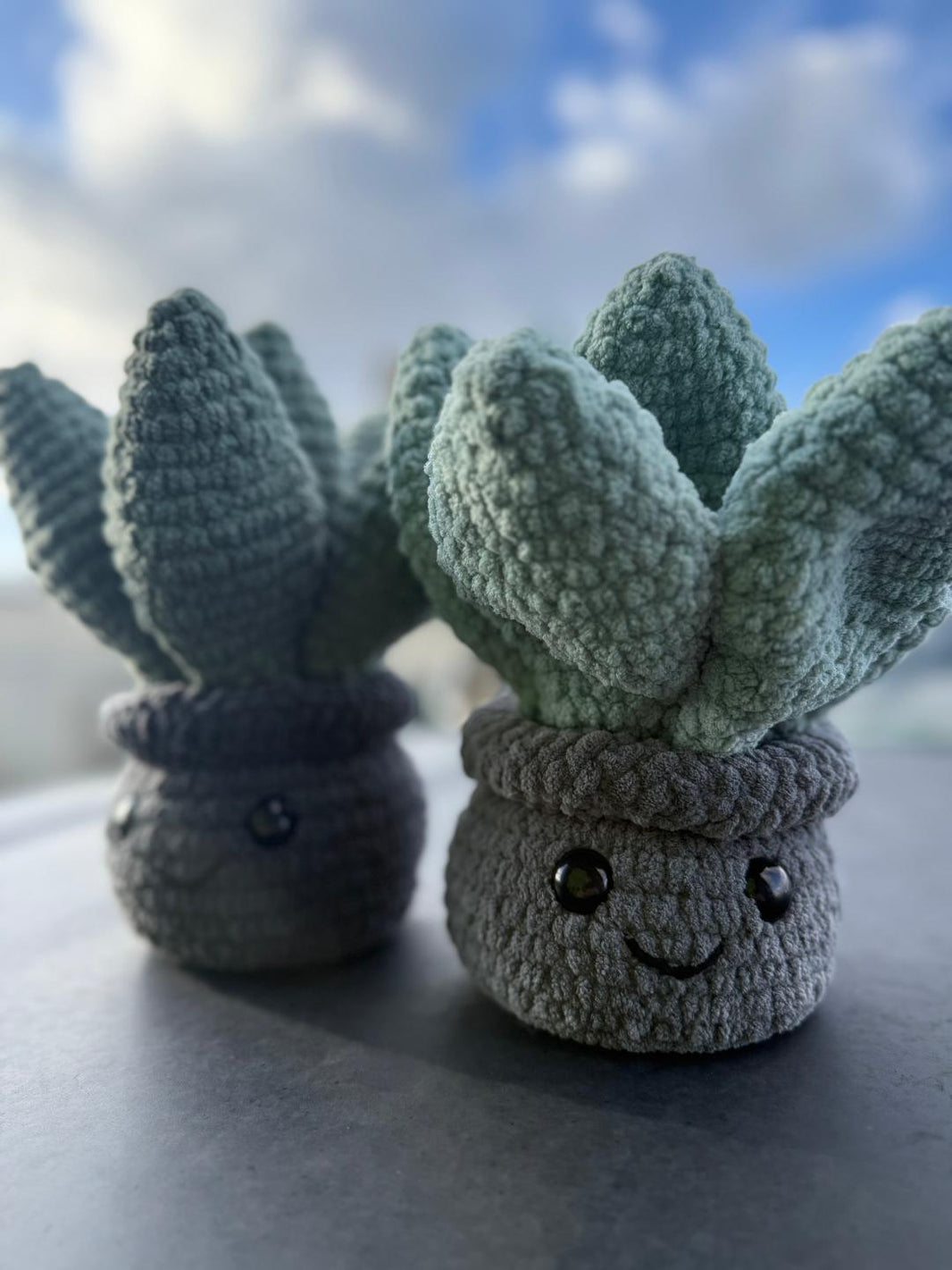 Plush Delight Happy Succulent Hand Woven Desk Plushy