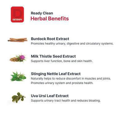 Detoxify  Ready Clean Herbal Cleanse 16oz