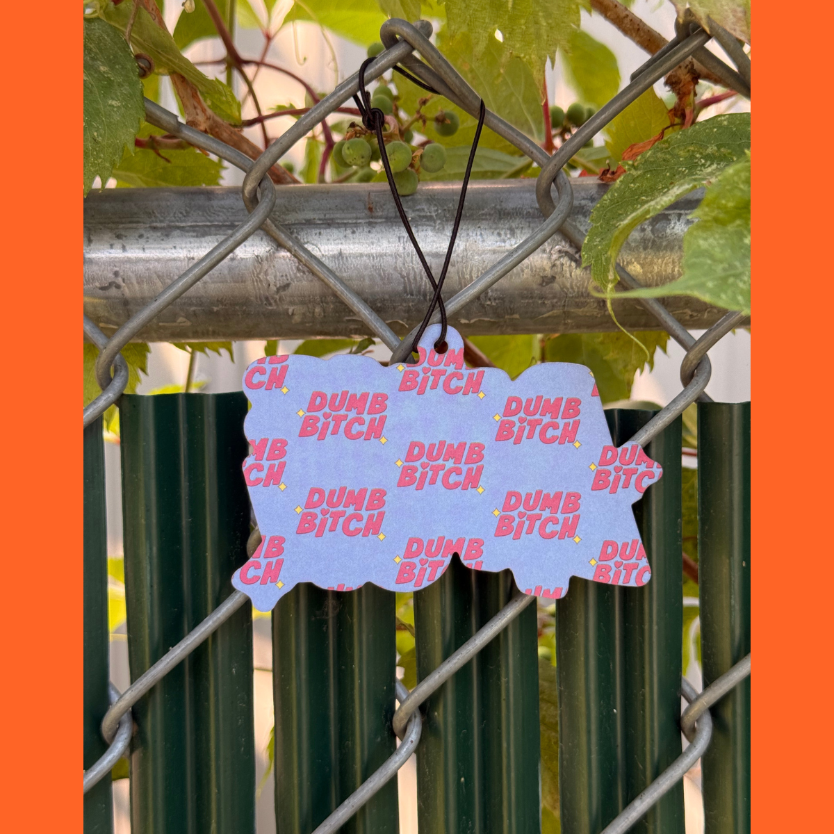 Dumb Bitch coconut air freshener with humor hanging on a fence, showcasing its playful design and vibrant colors.