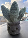 Plush Delight Happy Succulent Hand Woven Desk Plushy