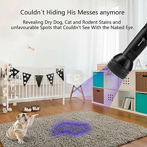 Esco Lite 51 LED UV Flashlight revealing pet stains on a carpet in a bright nursery.