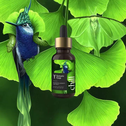 Fantastic Fungi Chill Elixir