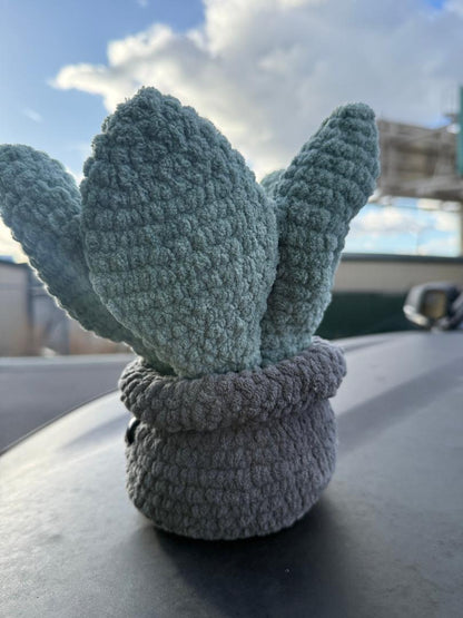 Plush Delight Happy Succulent Hand Woven Desk Plushy