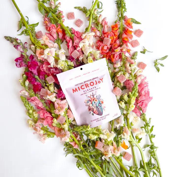 Microjoy Elevate Mushroom Gummies