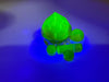 Bowman Glass Faceted Quartz Terp Slurper Set in vibrant green under UV light for an enhanced dabbing experience.