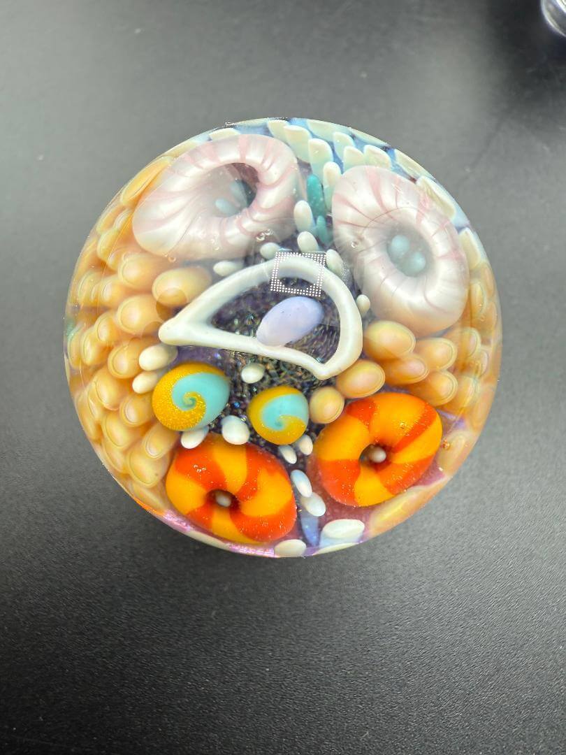 Brando Glass Marble - Sea Life Implosion 1.5" showcasing vibrant sea anemones and urchins in clear glass.