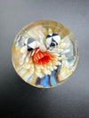 Brando Glass Marble - Sea Life Implosion 1.5" featuring sea anemones and urchins in glass, handmade in Spokane.