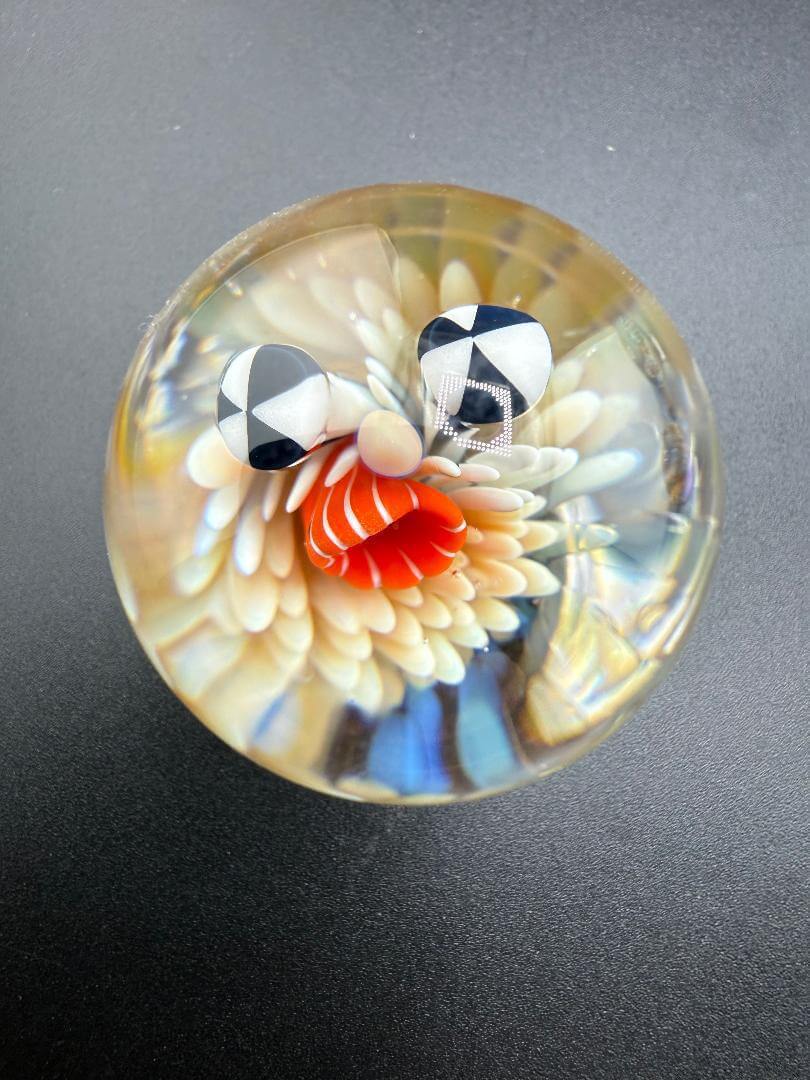 Brando Glass Marble - Sea Life Implosion 1.5" featuring sea anemones and urchins in glass, handmade in Spokane.