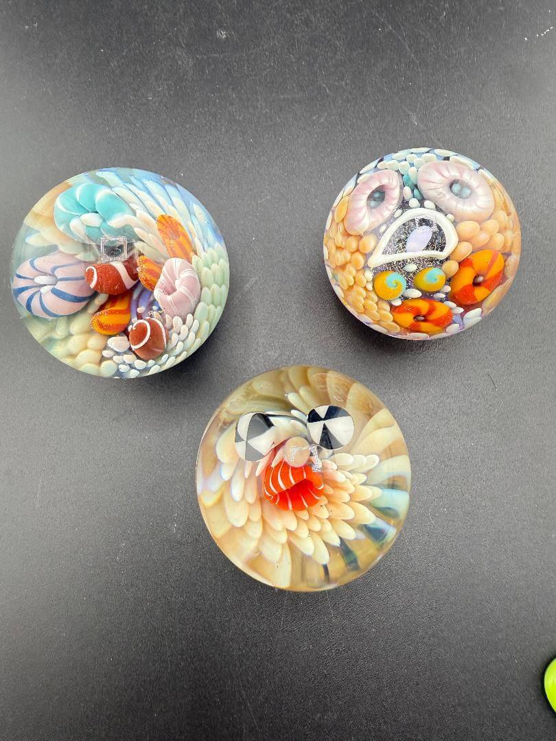 Brando Glass Marble - Sea Life Implosion 1.5" featuring vibrant sea life designs in handcrafted glass.