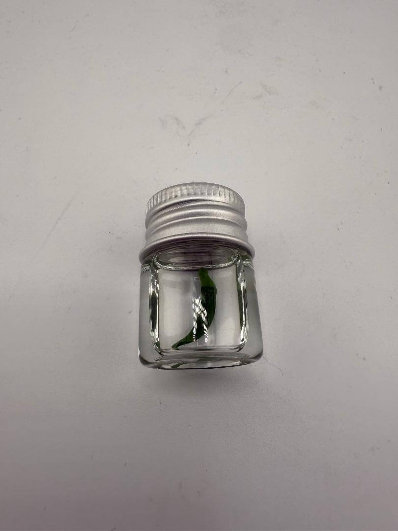 Clear glass jar with a silver lid, suitable for storing small items or concentrates.