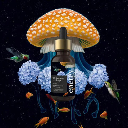 Fantastic Fungi Energy Elixir