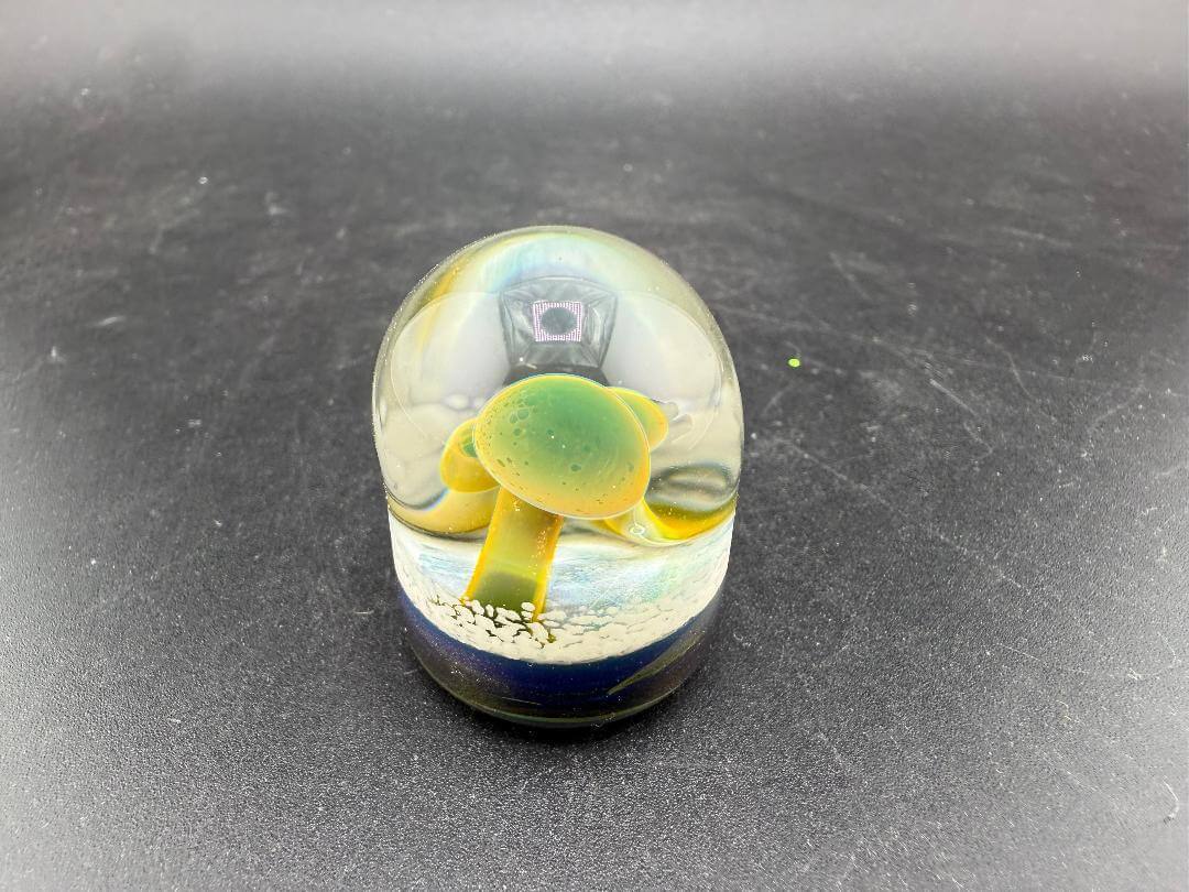 Danny W Glass Marble - 24mm Mushroom Implosion w/ Flat Bottom showcasing vibrant colors and intricate detail.