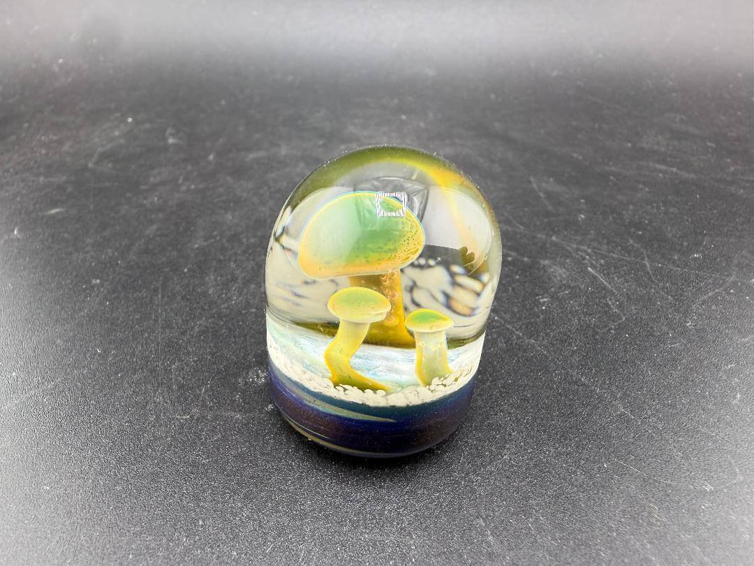 Danny W Glass Marble - 24mm Mushroom Implosion w/ Flat Bottom showcasing vibrant mushroom design.