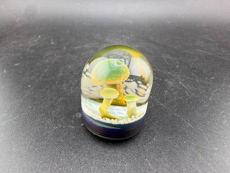Danny W Glass Marble - 24mm Mushroom Implosion w/ Flat Bottom showcasing vibrant mushroom design.