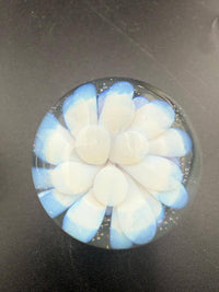 Danny W Glass Marble - 33mm White Implosion showcasing a handcrafted design with white and blue details.