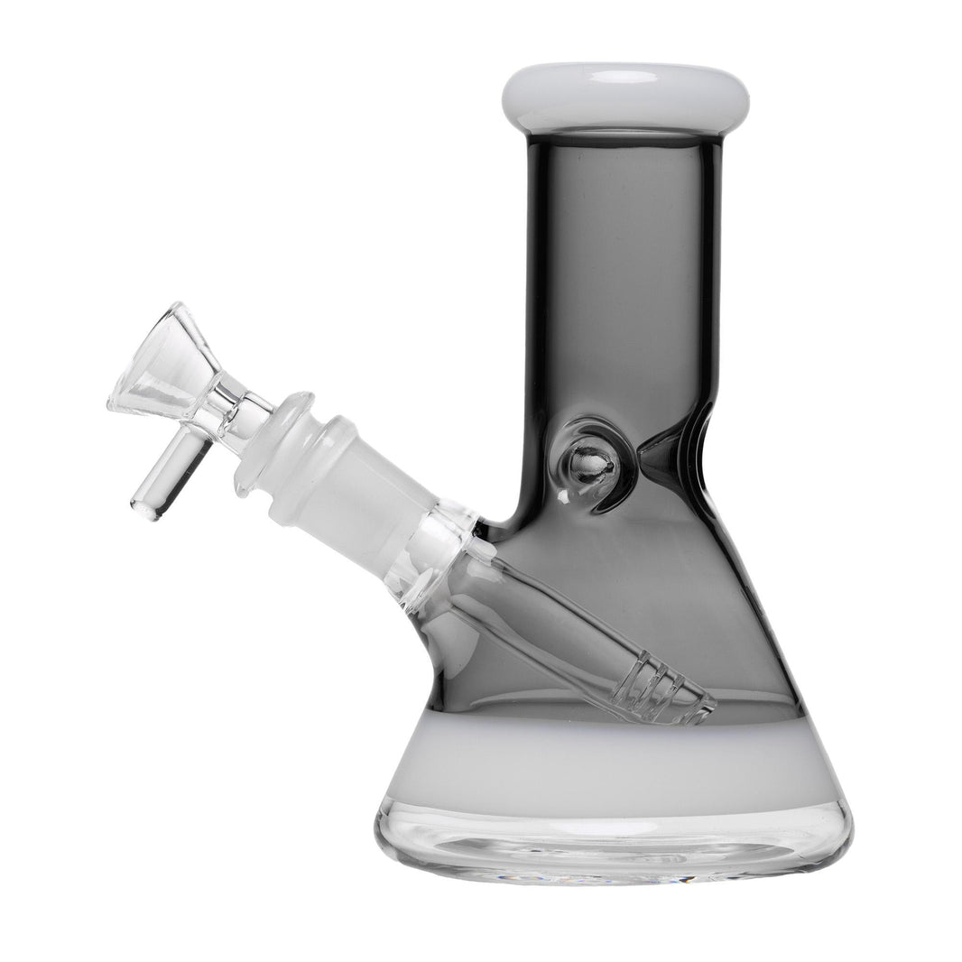Human Grade 6" Beaker