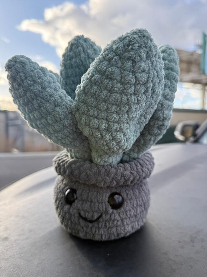 Plush Delight Happy Succulent Hand Woven Desk Plushy