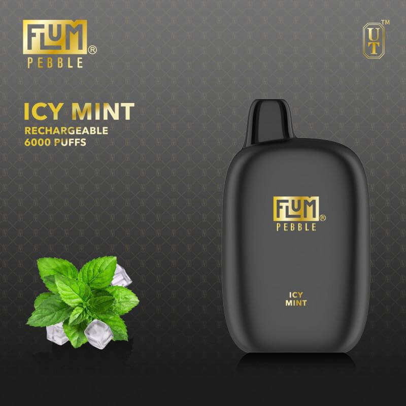 Flum Pebble 6K Disposable Vape in Icy Mint flavor, offering 6000 puffs with a sleek design and minty freshness.