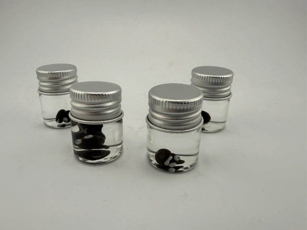 Four glass jars filled with clear liquid and black and white glass terp pearls, perfect for dab accessories.