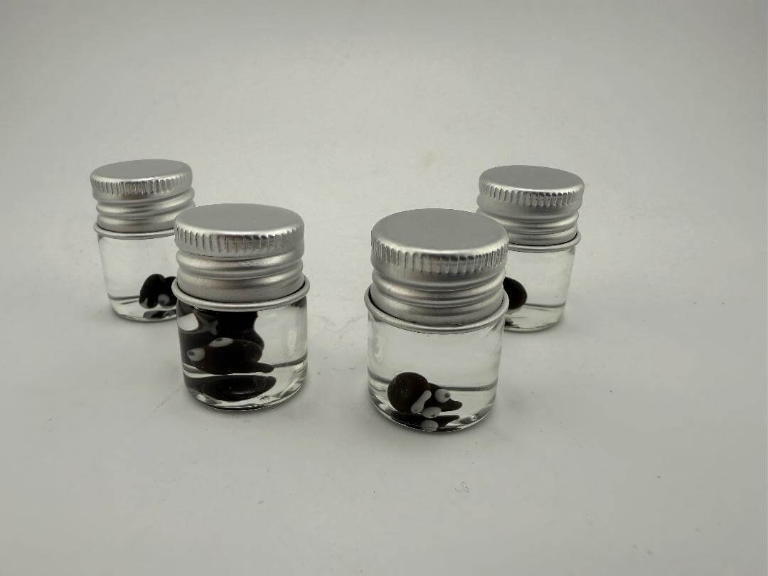 Four glass jars filled with clear liquid and black and white glass terp pearls, perfect for dab accessories.