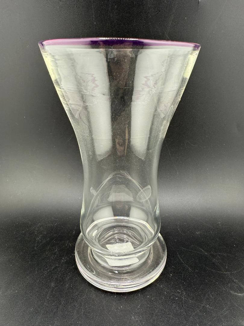 Mank Glass Cup / Pilsner- Purple Lip Wrap, elegant handblown glass with purple lip detail.