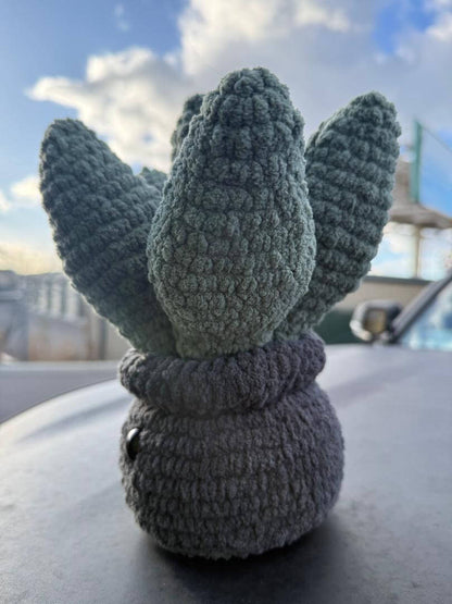 Plush Delight Happy Succulent Hand Woven Desk Plushy showcasing adorable, hand woven design on a sunny day.