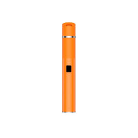VOOZR P2 A Pen – Concentrates – Pure Flavor & Dense Clouds